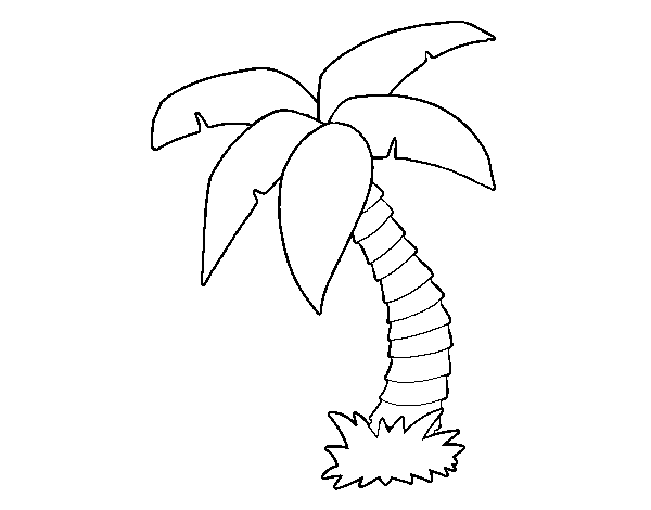 Coloring page: Palm tree (Nature and Seasons) #161130 - Free Printable Coloring Pages