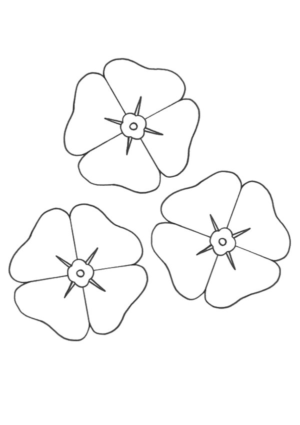 Free printable Poppy coloring page #162453 from Nature and Seasons collection