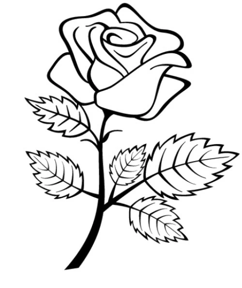 Coloring page: Roses (Nature and Seasons) #161936 - Free Printable Coloring Pages