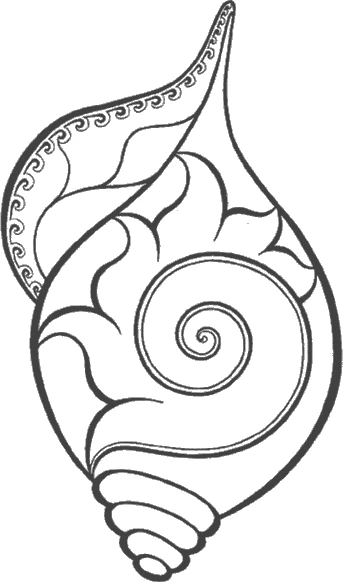 Free printable Shell coloring page #163152 from Nature and Seasons collection