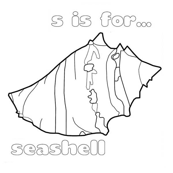 Free printable Shell coloring page #163314 from Nature and Seasons collection