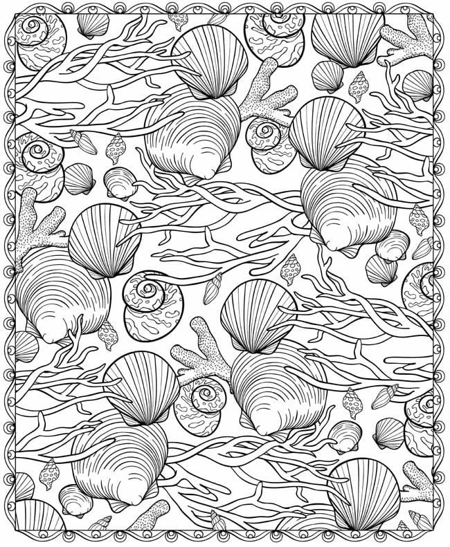 Free printable Shell coloring page #185458 from Nature and Seasons collection