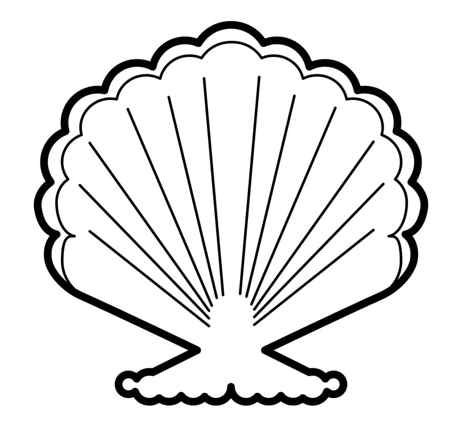 Free printable Shell coloring page #185464 from Nature and Seasons collection