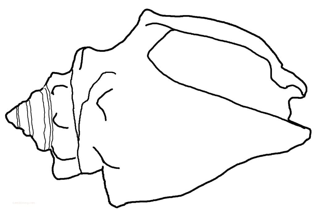 Free printable Shell coloring page #185467 from Nature and Seasons collection Free printable Shell coloring page #185467 from Nature and Seasons collection