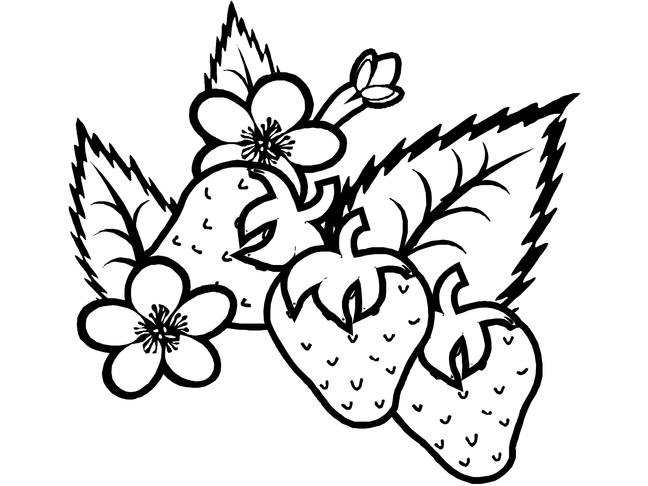 Coloring page: Summer season (Nature and Seasons) #165116 - Free Printable Coloring Pages