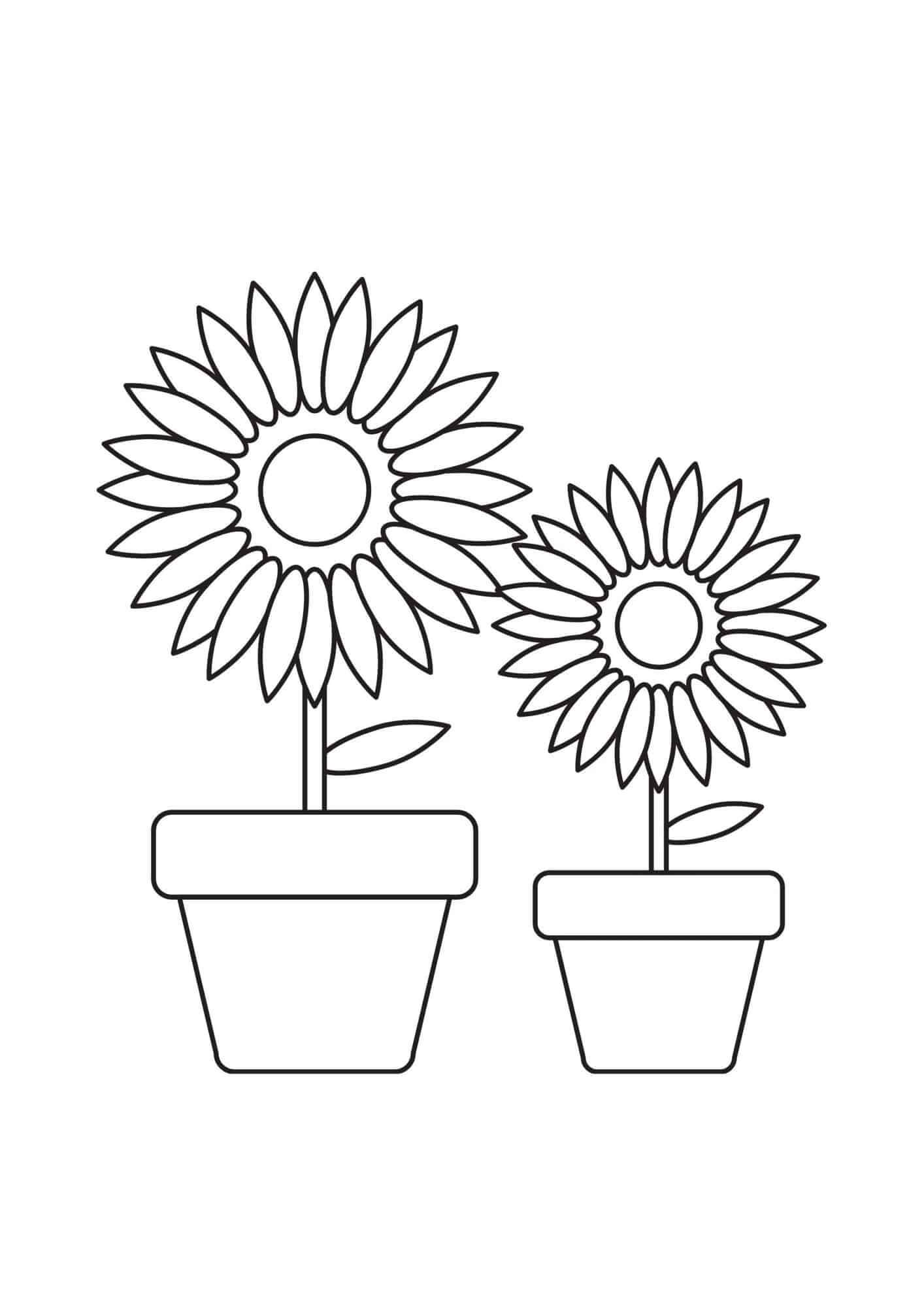 Free printable Sunflower coloring page #171029 from Nature and Seasons collection