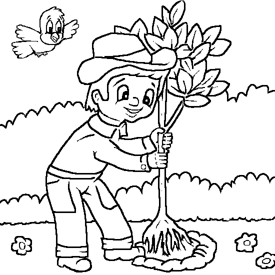 Free printable Tree coloring page #154866 from Nature and Seasons collection