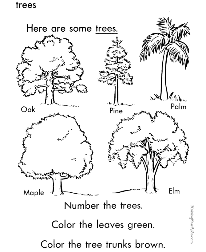 Free printable Tree coloring page #154914 from Nature and Seasons collection