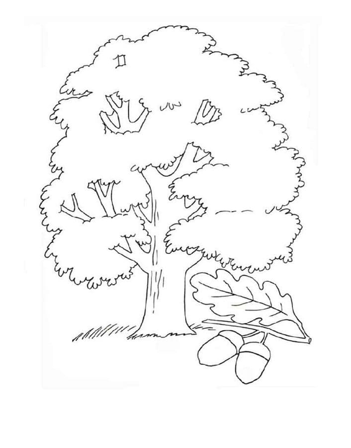 Free printable Tree coloring page #190437 from Nature and Seasons collection