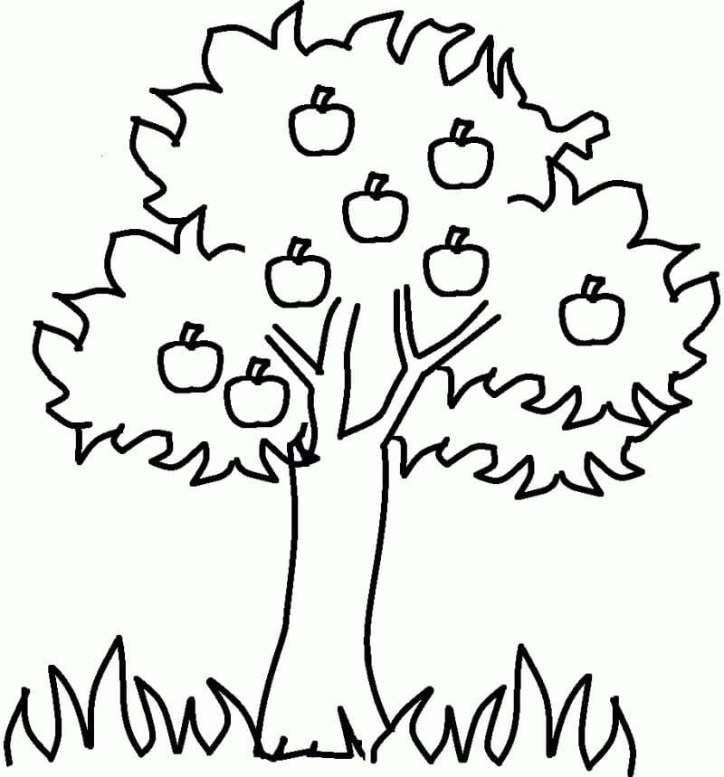 Free printable Tree coloring page #190451 from Nature and Seasons collection