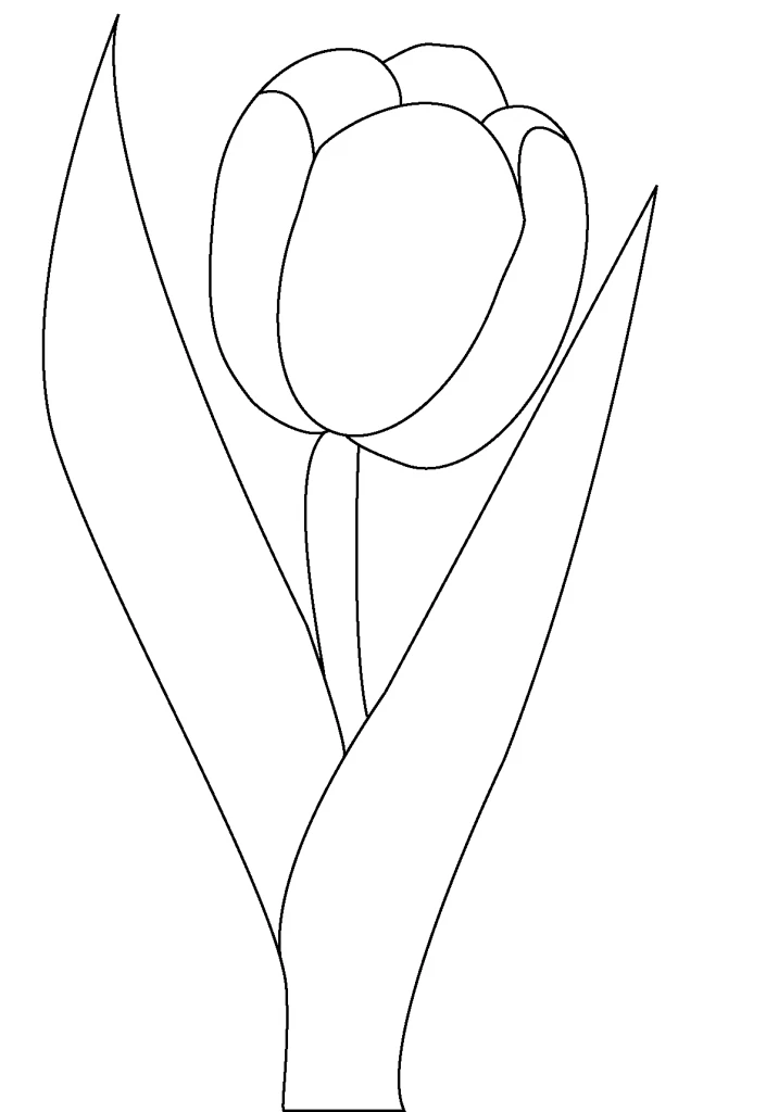Free printable Tulip coloring page #161627 from Nature and Seasons collection Free printable Tulip coloring page #161627 from Nature and Seasons collection