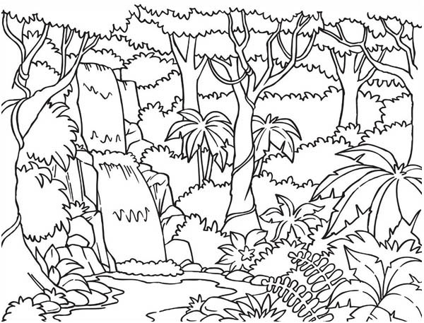 Coloring page: Waterfall (Nature and Seasons) #159936 - Free Printable Coloring Pages