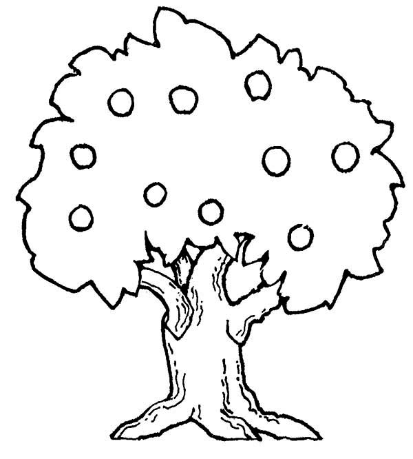 Coloring page: Apple tree (Nature) #163743 - Free Printable Coloring Pages