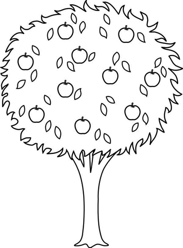 Cute Tree Is Drawn With Flowers Outline Sketch Drawing Vector, Sakura Tree  Drawing, Sakura Tree Outline, Sakura Tree Sketch PNG and Vector with  Transparent Background for Free Download