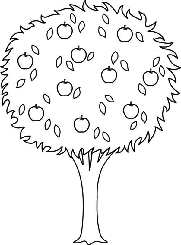 apple tree drawing kids