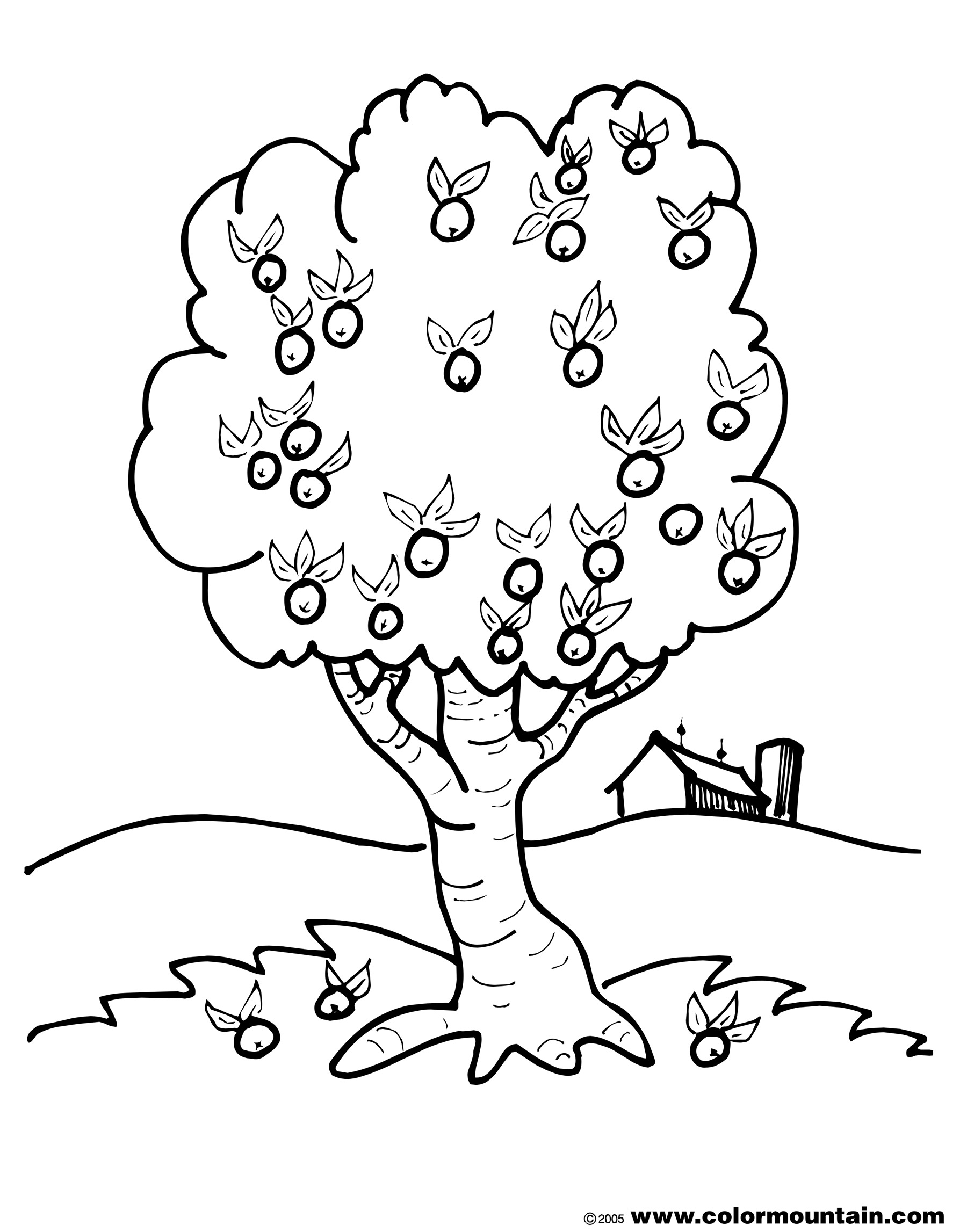 Drawing Apple tree #163788 (Nature) – Printable coloring pages