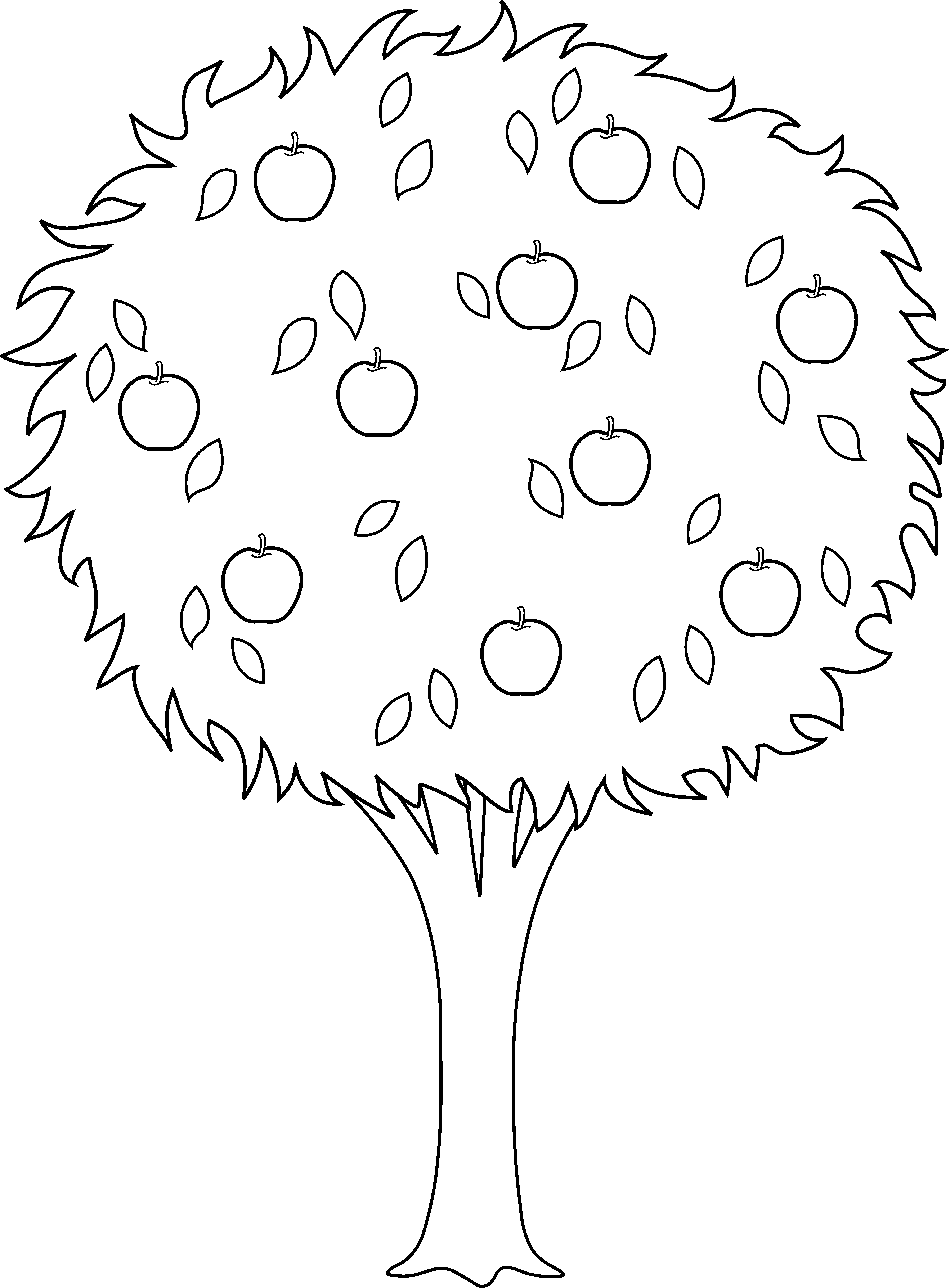 Apple Tree Coloring Page Printable Coloring Pages