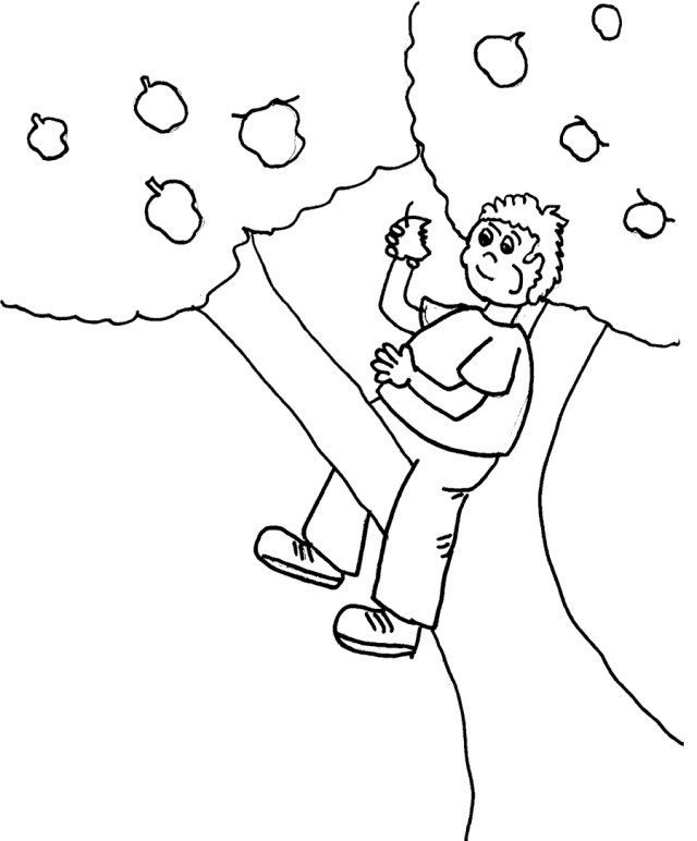 Coloring page: Apple tree (Nature) #163792 - Free Printable Coloring Pages