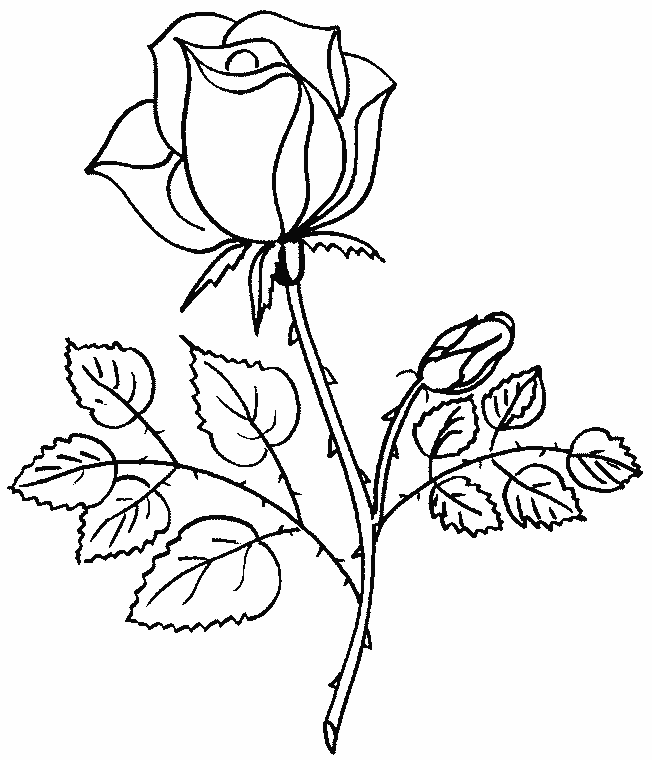 Coloring page: Bouquet of flowers (Nature) #160736 - Free Printable Coloring Pages