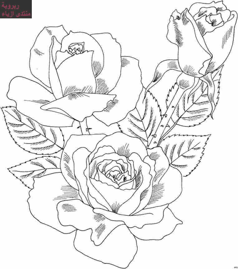 Coloring page: Bouquet of flowers (Nature) #160739 - Free Printable Coloring Pages