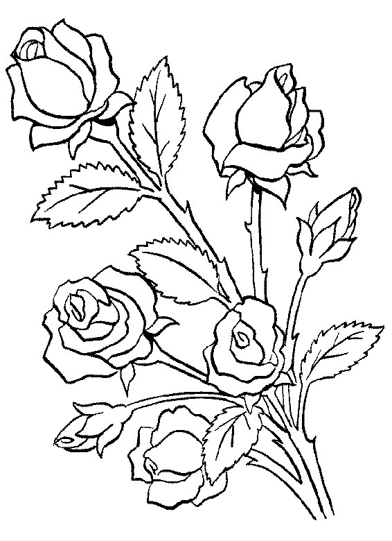 Coloring page: Bouquet of flowers (Nature) #160740 - Free Printable Coloring Pages