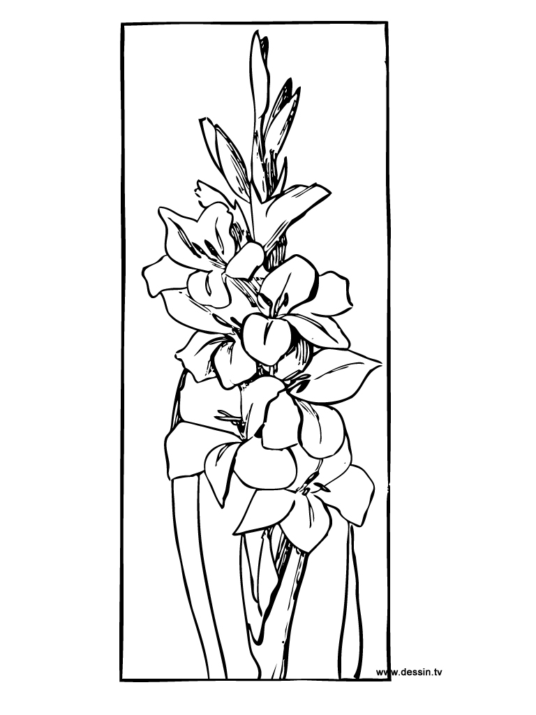 Coloring page: Bouquet of flowers (Nature) #160760 - Free Printable Coloring Pages