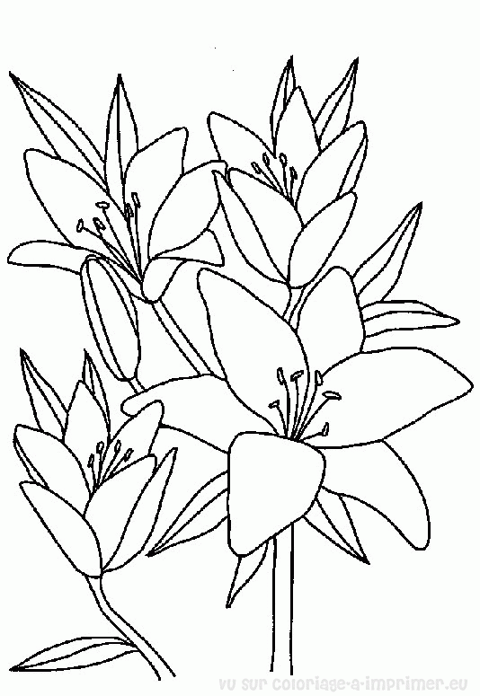 Coloring page: Bouquet of flowers (Nature) #160788 - Free Printable Coloring Pages