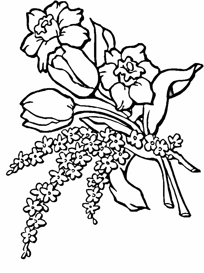 Coloring page: Bouquet of flowers (Nature) #160790 - Free Printable Coloring Pages