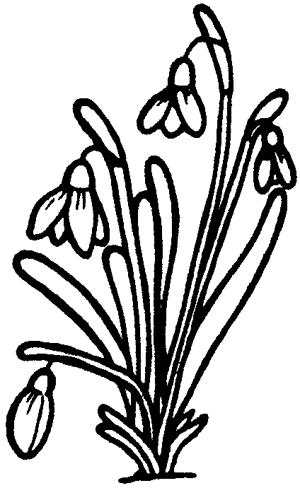 Coloring page: Bouquet of flowers (Nature) #160845 - Free Printable Coloring Pages