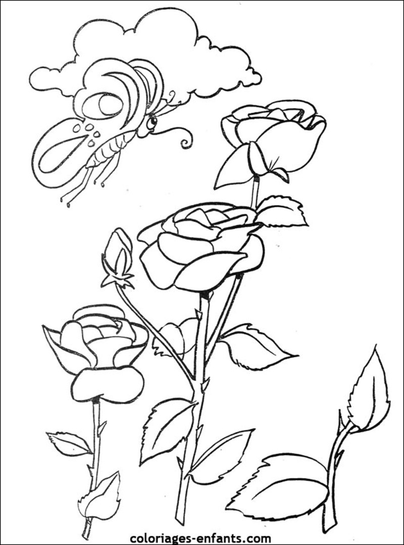 Coloring page: Bouquet of flowers (Nature) #160849 - Free Printable Coloring Pages