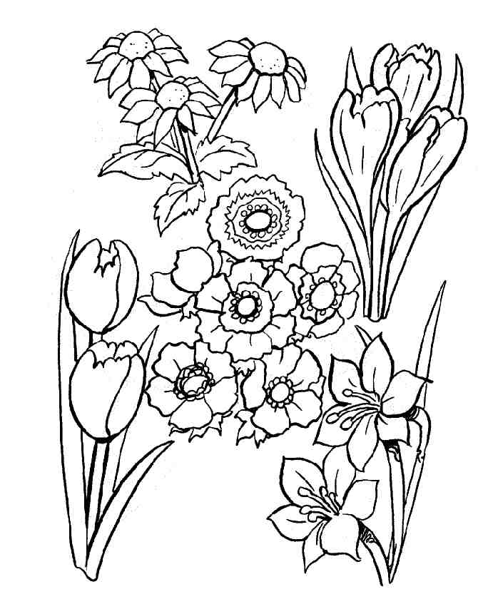 Coloring page: Bouquet of flowers (Nature) #160855 - Free Printable Coloring Pages
