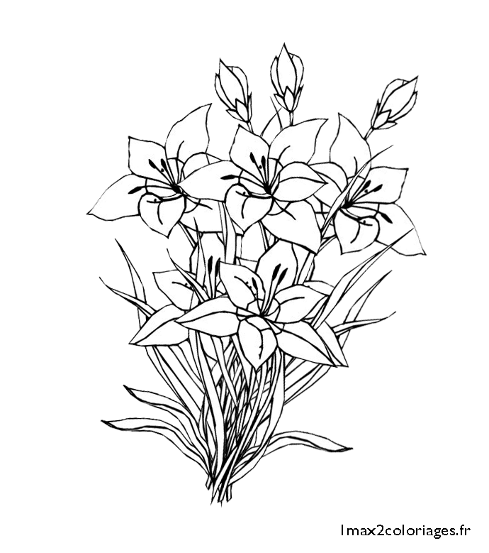 Coloring page: Bouquet of flowers (Nature) #160865 - Free Printable Coloring Pages