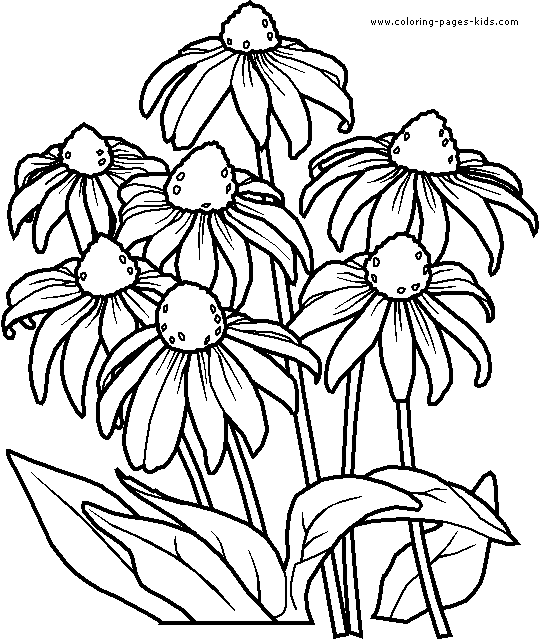 Coloring page: Bouquet of flowers (Nature) #160888 - Free Printable Coloring Pages