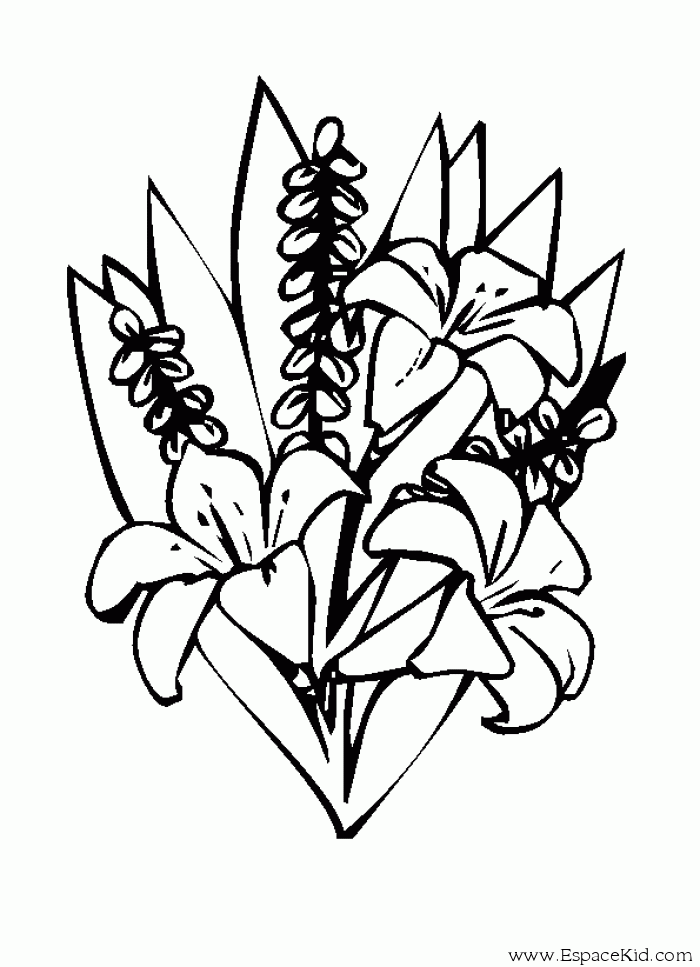 Coloring page: Bouquet of flowers (Nature) #160891 - Free Printable Coloring Pages