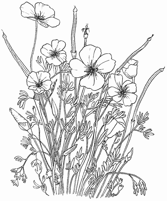 Coloring page: Bouquet of flowers (Nature) #160928 - Free Printable Coloring Pages