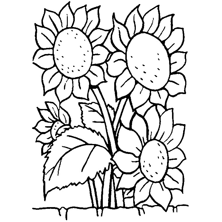 Coloring page: Bouquet of flowers (Nature) #160964 - Free Printable Coloring Pages
