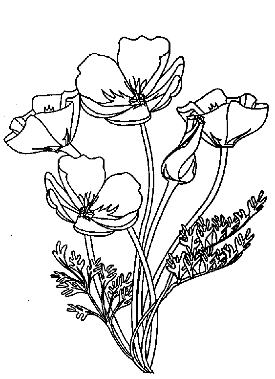 Coloring page: Bouquet of flowers (Nature) #161045 - Free Printable Coloring Pages
