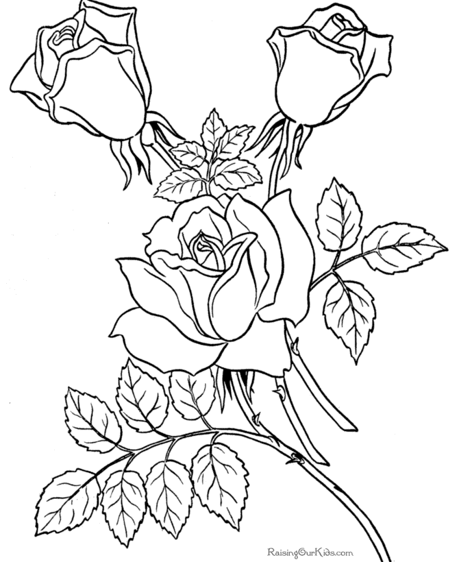 Coloring page: Bouquet of flowers (Nature) #161085 - Free Printable Coloring Pages