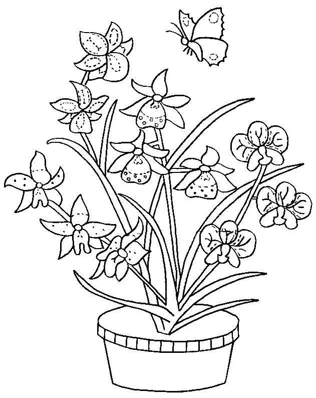 Coloring page: Bouquet of flowers (Nature) #161091 - Free Printable Coloring Pages