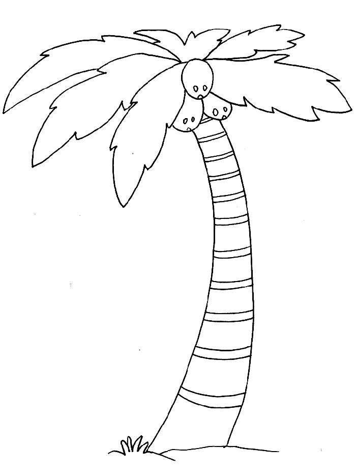 Coloring page: Coconut tree (Nature) #162115 - Free Printable Coloring Pages