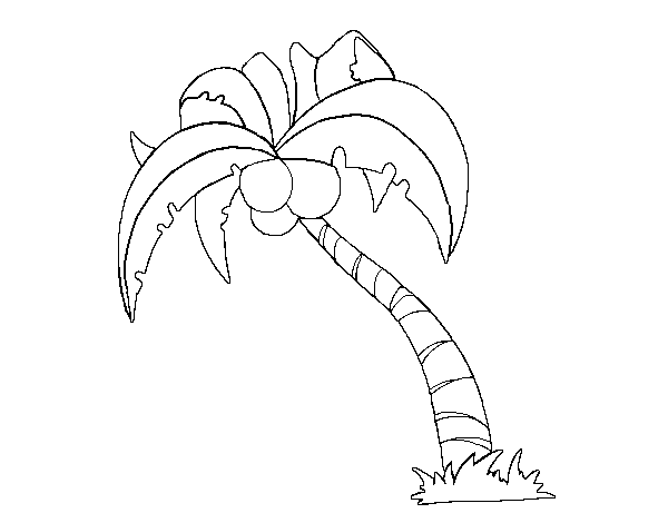 Coloring page: Coconut tree (Nature) #162116 - Free Printable Coloring Pages