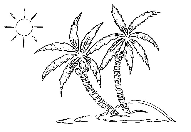 Coloring page: Coconut tree (Nature) #162123 - Free Printable Coloring Pages