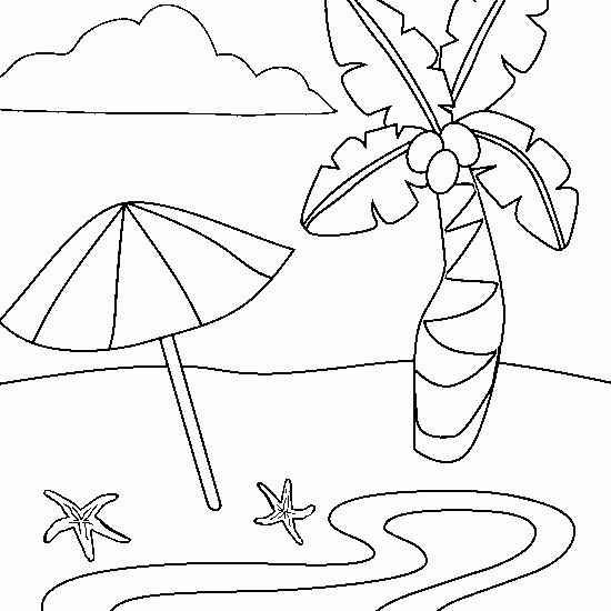 Coconut Tree 162166 Nature Printable Coloring Pages