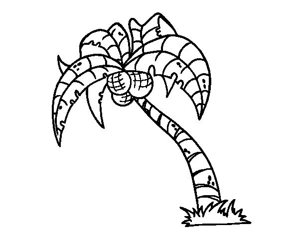 Coloring page: Coconut tree (Nature) #162375 - Free Printable Coloring Pages
