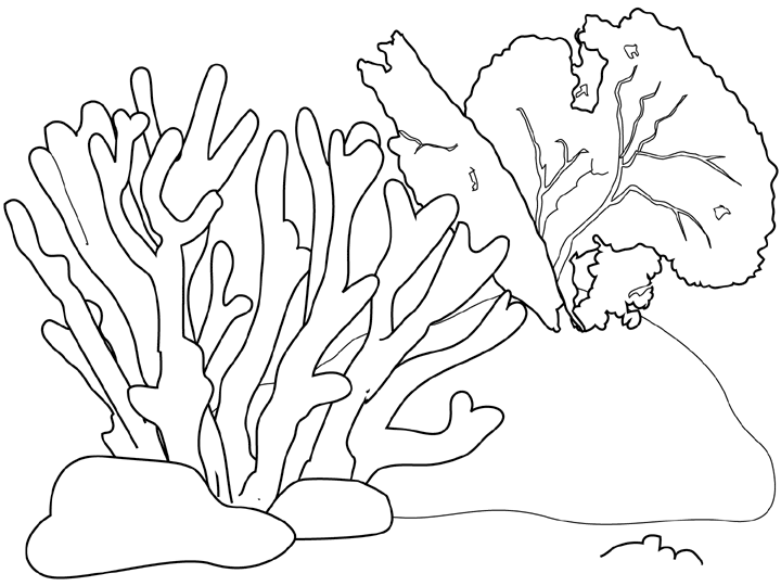 Coloring page: Coral (Nature) #162779 - Free Printable Coloring Pages