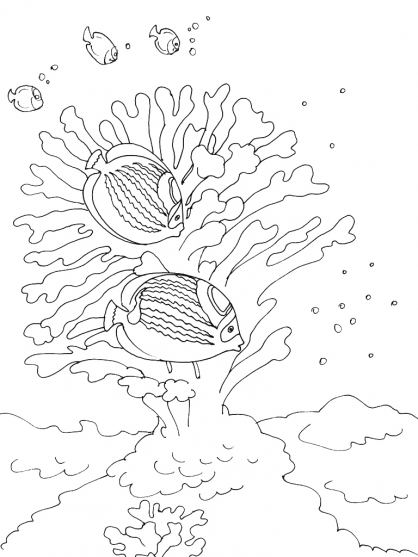 Coloring page: Coral (Nature) #162781 - Free Printable Coloring Pages