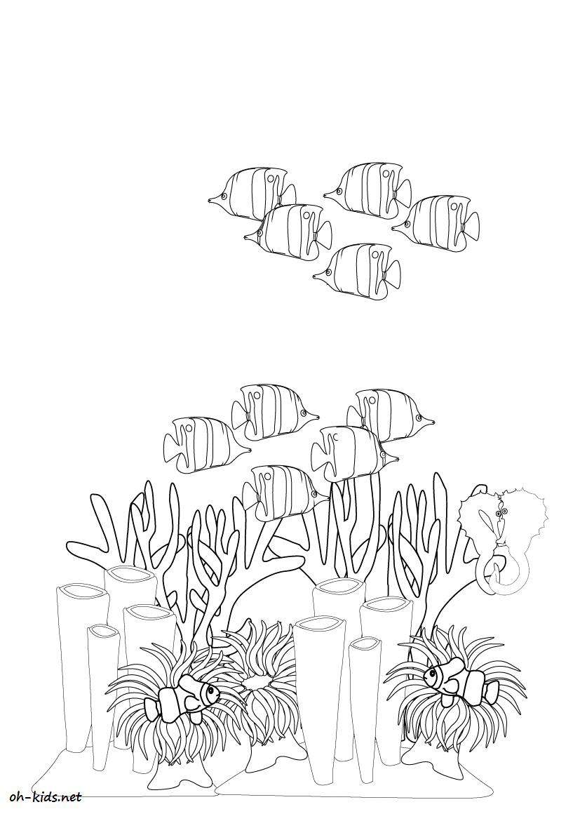 Coloring page: Coral (Nature) #162784 - Free Printable Coloring Pages