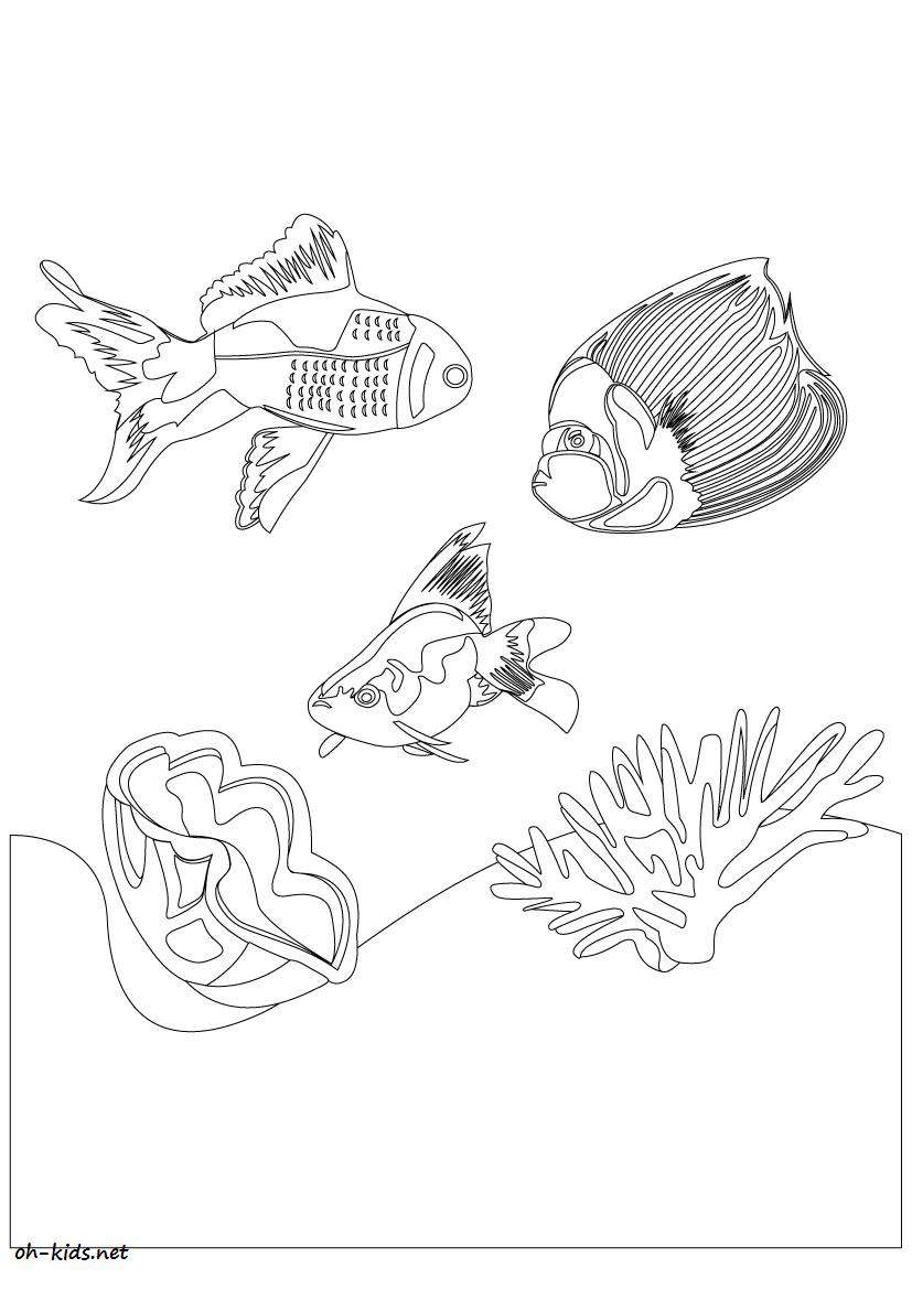 Coloring page: Coral (Nature) #162788 - Free Printable Coloring Pages