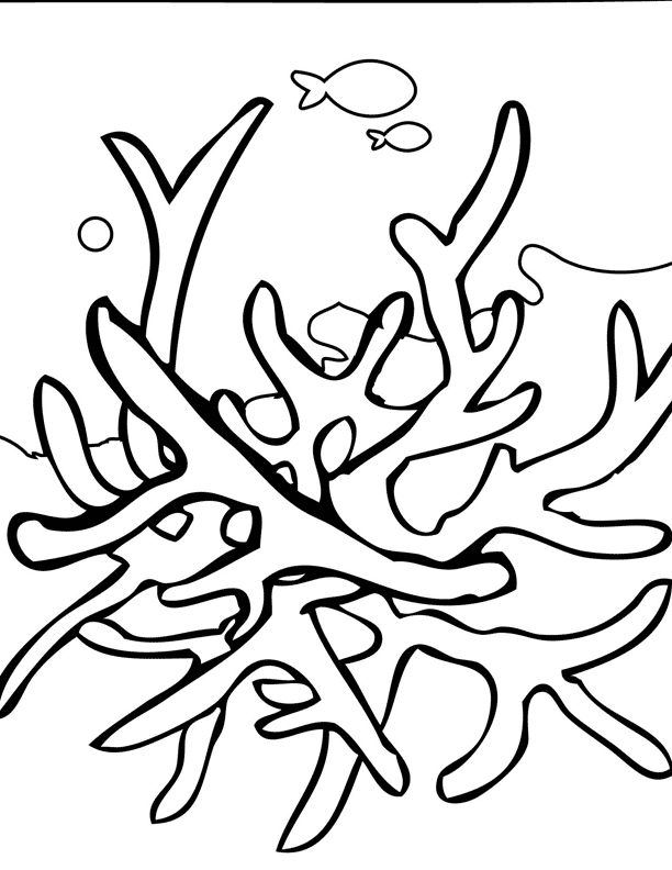 Coloring page: Coral (Nature) #162890 - Free Printable Coloring Pages