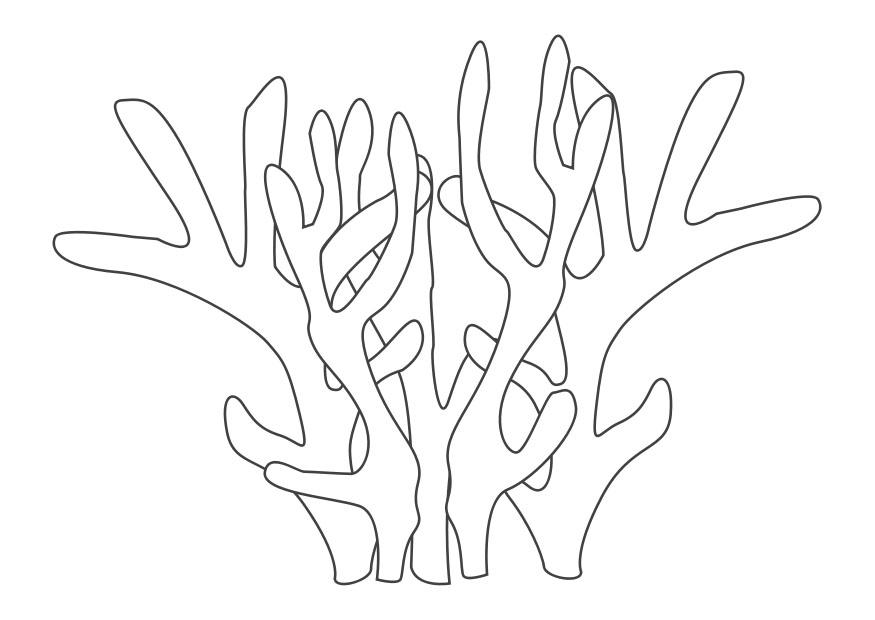 Drawing Coral 162893 Nature Printable Coloring Pages